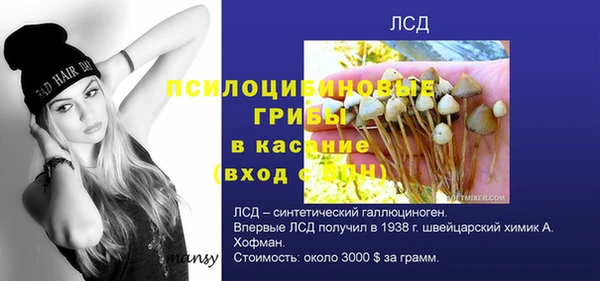 спайс Белокуриха