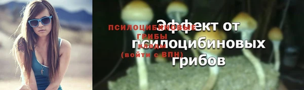 спайс Белокуриха