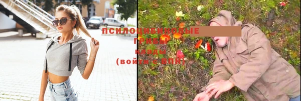 a pvp Беломорск