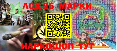 гидропоника Краснознаменск