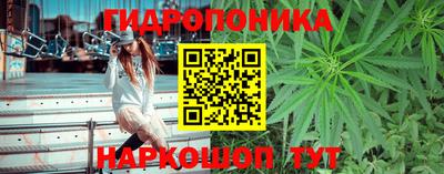 ГАЛЛЮЦИНОГЕННЫЕ ГРИБЫ Краснодар