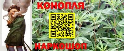 гидропоника Краснознаменск