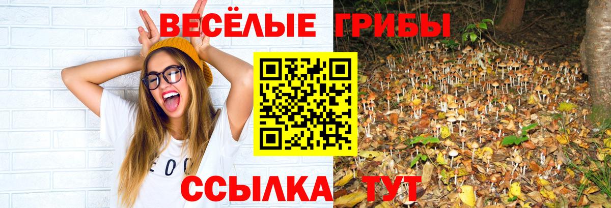 Кстово  Галлюциногенные грибы Magic Shrooms  Вход с VPN 