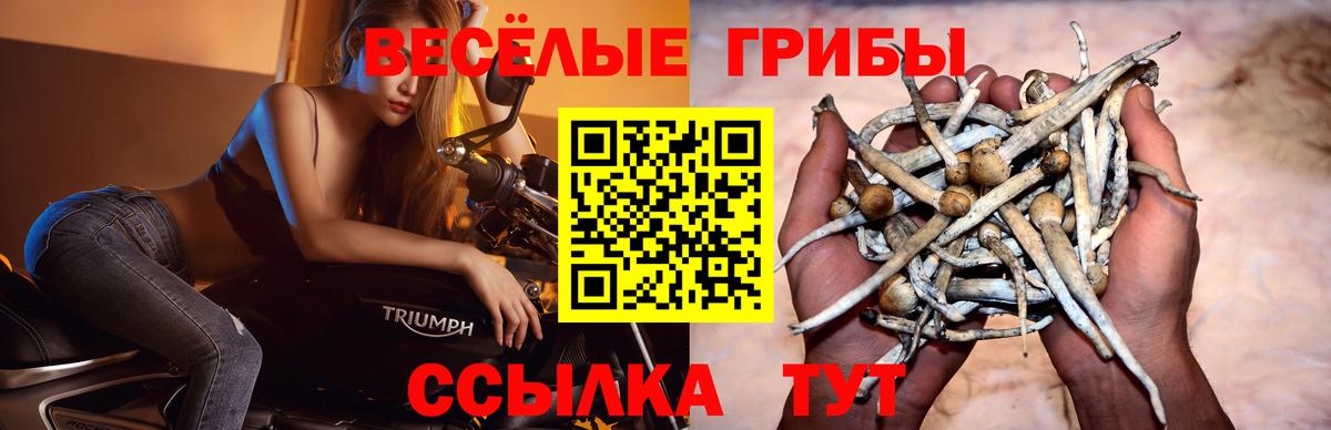 Галлюциногенные грибы Magic Shrooms Кстово