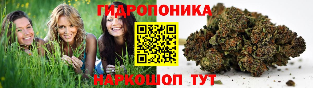 Канабис гибрид  Бошки Шишки THC 21%  Вход с VPN  Бошки Шишки LSD WEED  Кстово  Канабис LSD WEED 